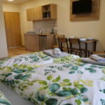 Apartment for 2 Persons with Shower (extra beds available)