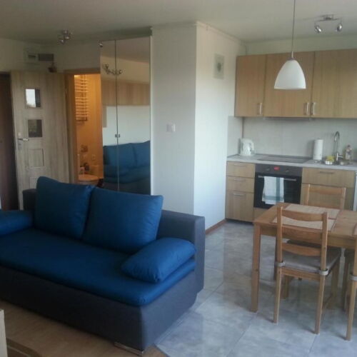 Apartament 4-osobowy Studio z 1 pomieszczeniem sypialnianym