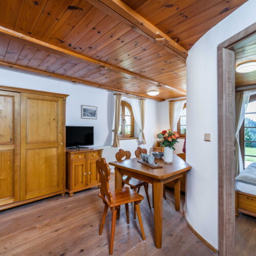 Comfort 2-Room Apartment for 3 Persons