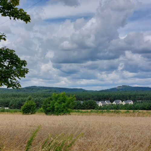 Domek całoroczny 6-osobowy cały dom z dostępem do ogrodu