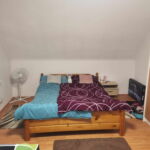 Panoramic Whole House 2-Room Apartment for 5 Persons (extra bed available)