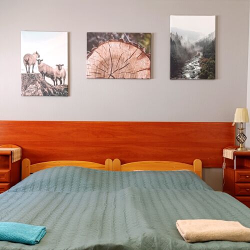 Pokój 2-osobowy z telewizorem LCD/plazmą z prysznicem