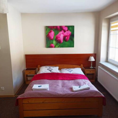 Pokój 3-osobowy z telewizorem LCD/plazmą z prysznicem