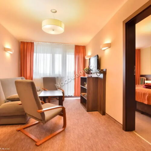 Apartament 2-osobowy z prysznicem z 1 pomieszczeniem sypialnianym