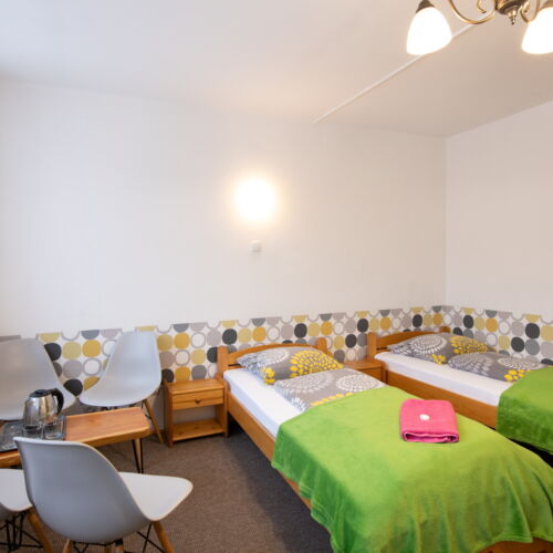 Pokój 4-osobowy z widokiem na góry (możliwa dostawka)