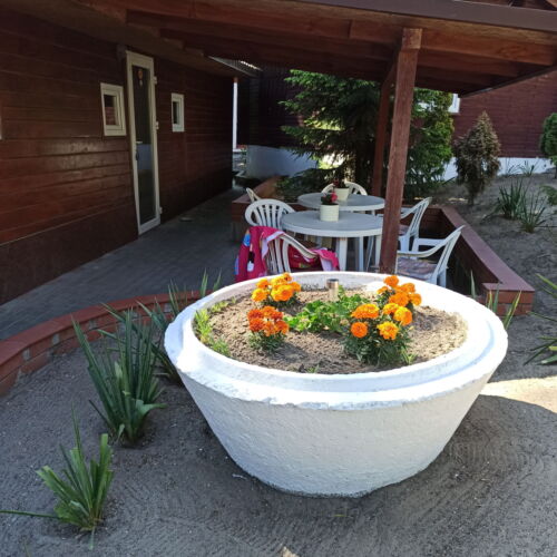 Casă de vară cu baie cu vedere spre pădure pentru 2 pers. (se inchirieaza doar integral) (se poate solicita pat suplimentar)