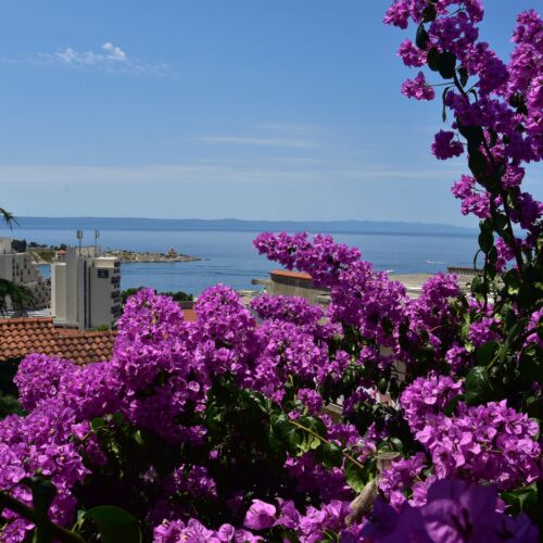 Apartman za 6 osoba(e) sa 3 spavaće(om) sobe(om)