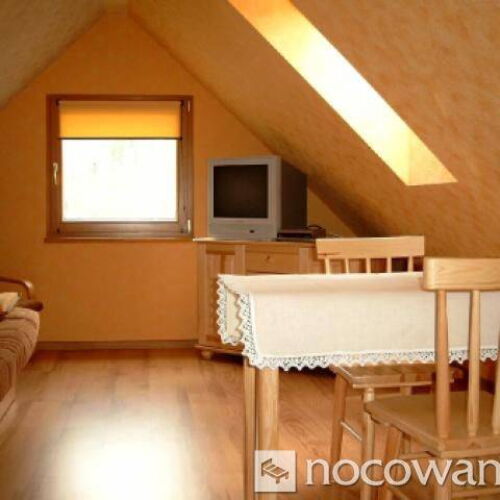 1-Room Apartment for 3 Persons