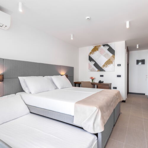 Camera twin standard cu vedere spre parc