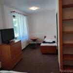 Twin Room with LCD/Plasma TV and Shower (extra beds available)