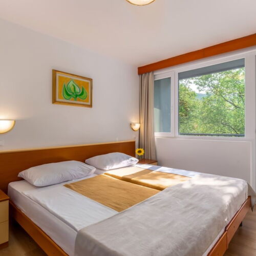 Camera twin classic cu balcon