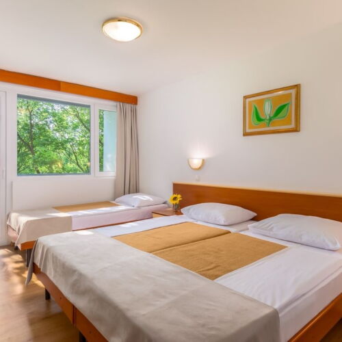 Camera twin standard cu balcon (se poate solicita pat suplimentar)