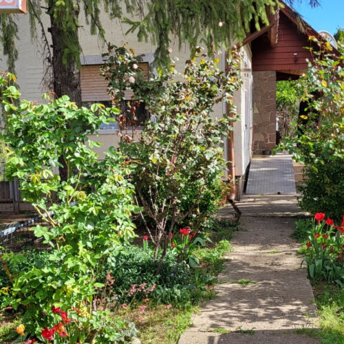1-Zimmer-Apartment für 4 Personen Obergeschoss mit Aussicht auf den Garten (Zusatzbett möglich)