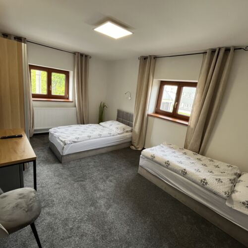 Deluxe Twin Room