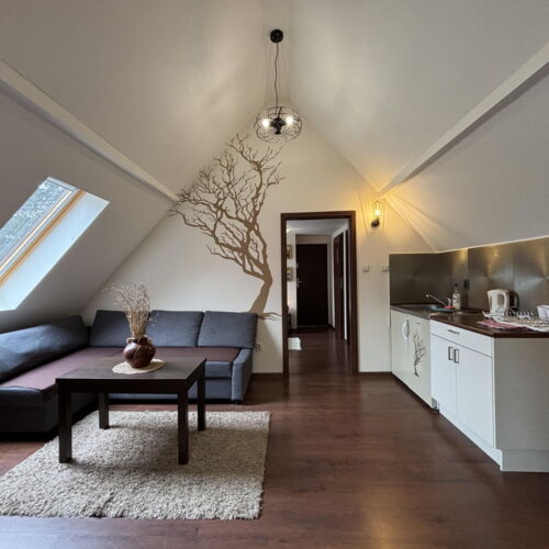 Upstairs 2-Room Balcony Apartment for 4 Persons