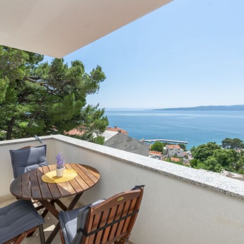 Apartament 2-osobowy z klimatyzacją z widokiem na morze z 1 pomieszczeniem sypialnianym