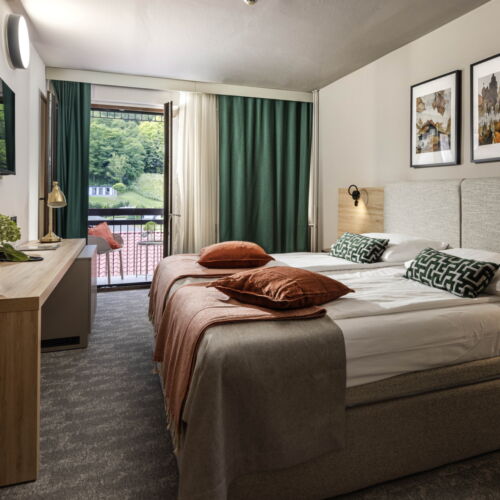 Standard Plus Double Room