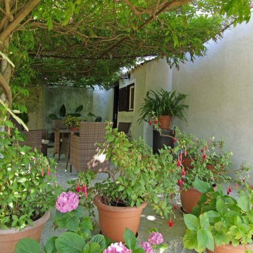 Apartament 4-osobowy z klimatyzacją na parterze z 2 pomieszczeniami sypialnianymi