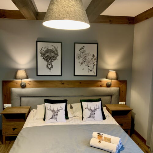 Superior Balcony Double Room