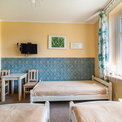 Standard Pokoj pro 3 os. s panoramou