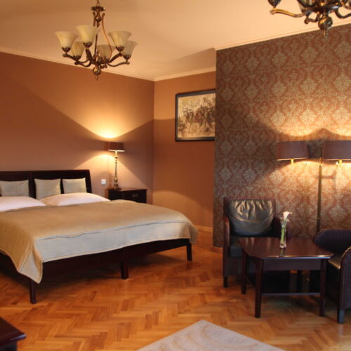 Camera twin superior cu duș (se poate solicita pat suplimentar)