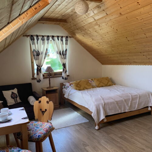 Camera dubla cu baie cu grădină (se poate solicita pat suplimentar)