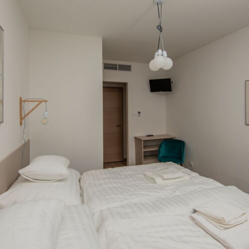 Standard Plus Double Room 