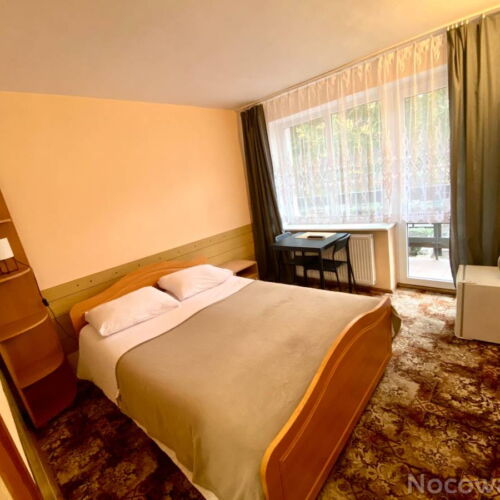 Pokój 2-osobowy z prysznicem z widokiem na góry