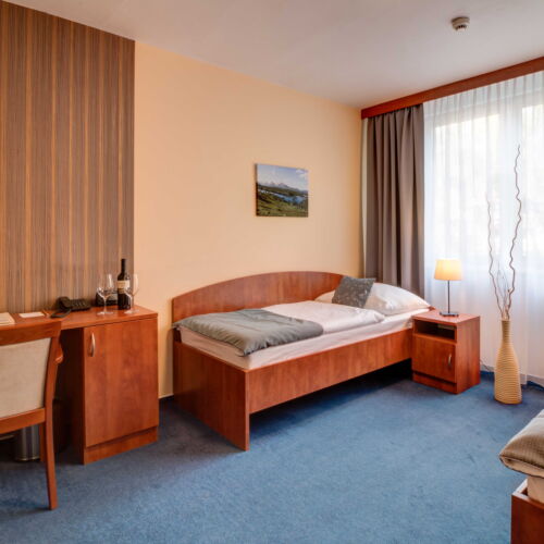 Camera twin confort cu duș