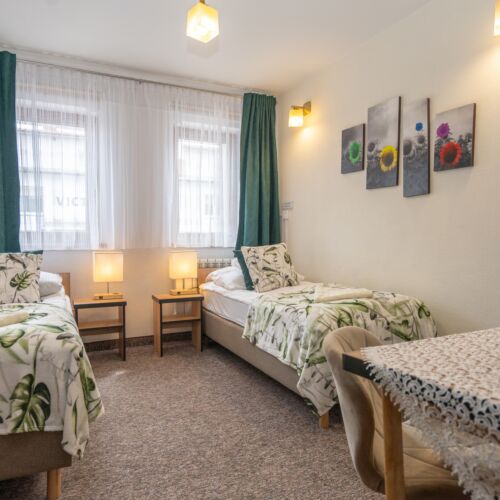 Twin Room