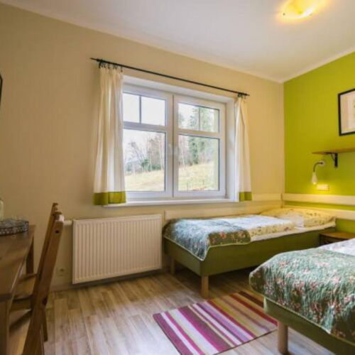 Double Room with Shower