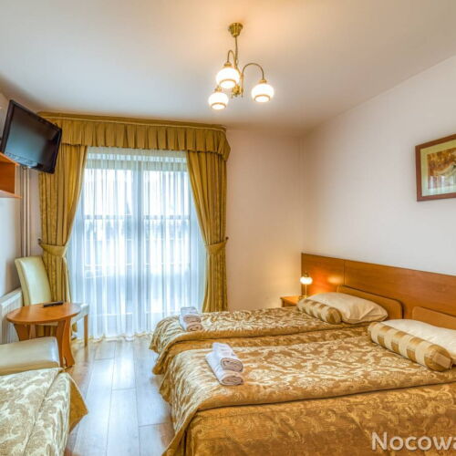 Mountain View Double Room with Shower