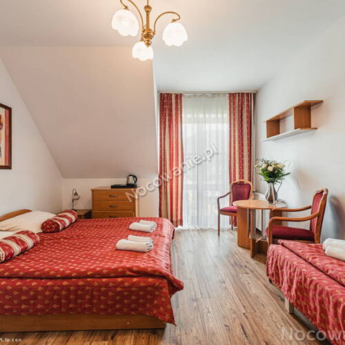 Mountain View Double Room with Shower