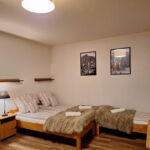 Family Twin Room with Shared Kitchenette (extra beds available)