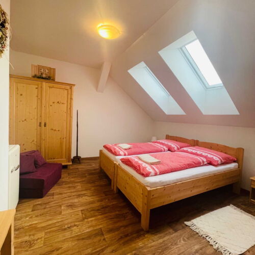 Camera twin cu duș (se poate solicita pat suplimentar)