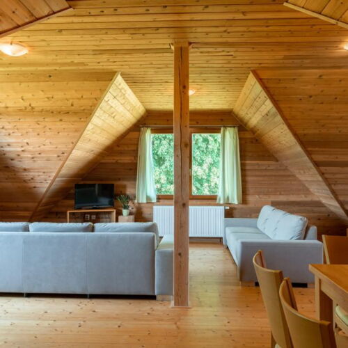 Apartament cu duș cu chicinetă proprie cu 2 camere pentru 6 pers. (se poate solicita pat suplimentar)