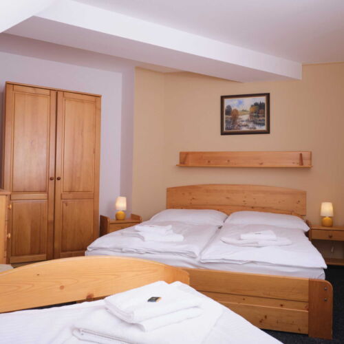 Camera tripla cu duș