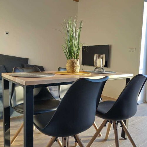 Apartman se sprchou s vlastní kuchyňkou pro 2 os. (s možností přistýlky)