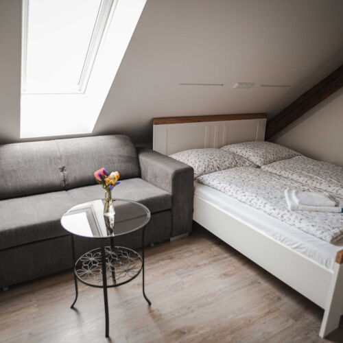 Camera twin (se poate solicita pat suplimentar)