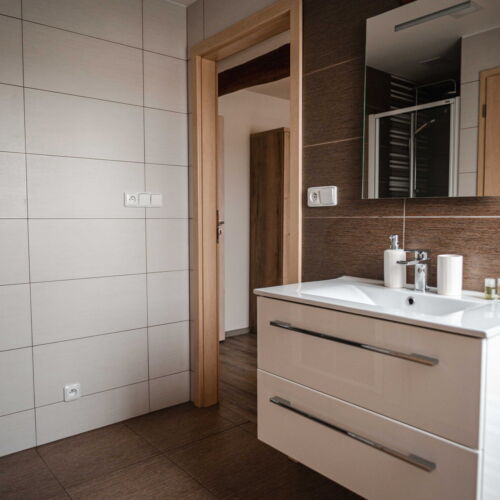 Camera twin (se poate solicita pat suplimentar)