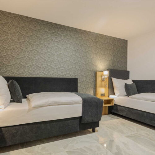 Barrier Free Twin Room