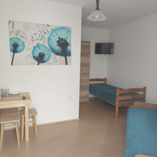 Pokój 3-osobowy z łazienką z prysznicem