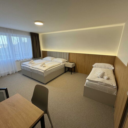 Camera  deluxe twin (se poate solicita pat suplimentar)