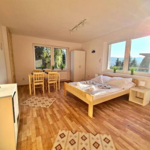 Apartament 4-osobowy z 2 pomieszczeniami sypialnianymi (możliwa dostawka)