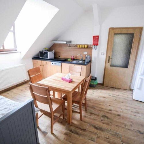 Apartament cu duș pentru 4 pers. (se poate solicita pat suplimentar)