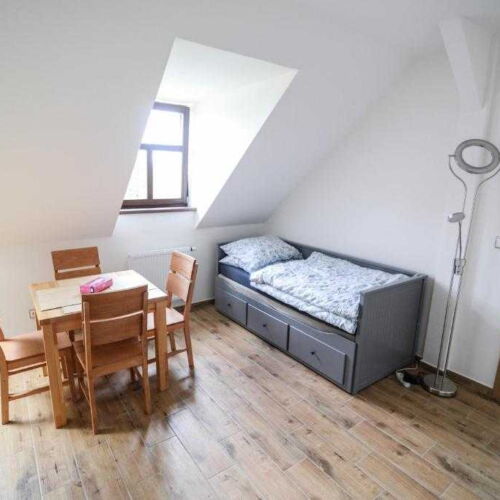 Apartament cu duș cu chicinetă proprie pentru 3 pers. (se poate solicita pat suplimentar)