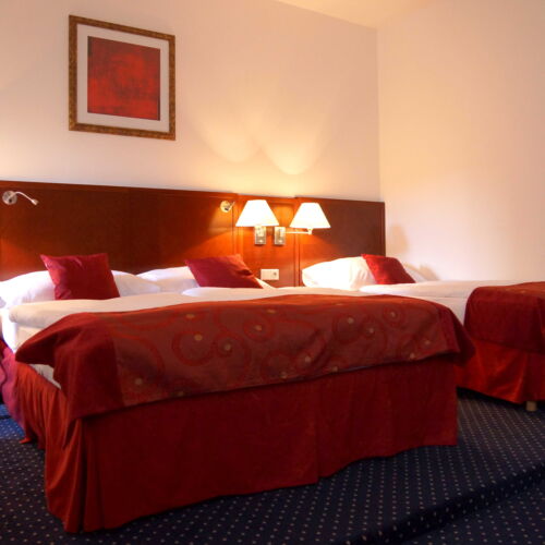 Standard Double Room with Shower