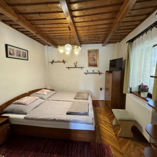 Camera tripla cu vedere spre grădină