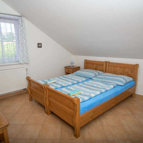 Pokoj se sprchou  s manželskou postelí (s možností přistýlky)