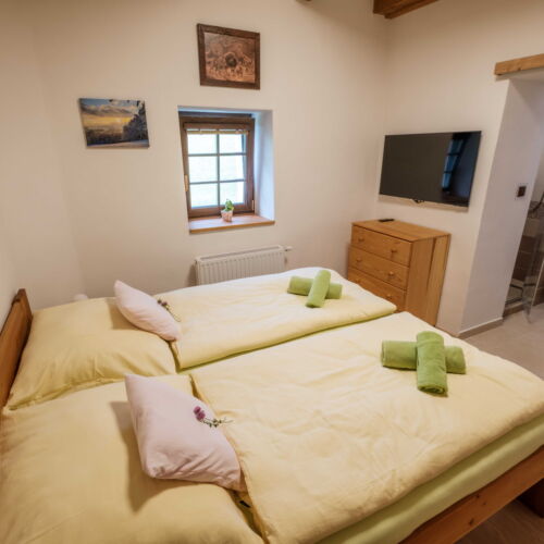 Pokoj se sprchou tV s plochou obrazovkou s manželskou postelí